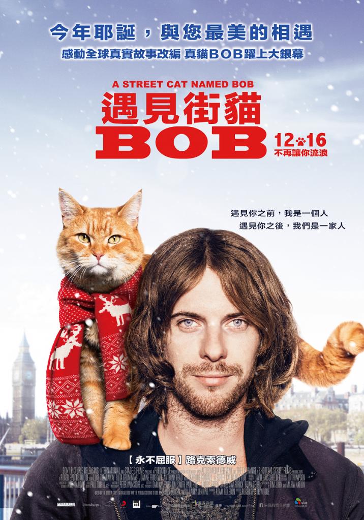 遇見街貓Bob(A street cat named Bob)