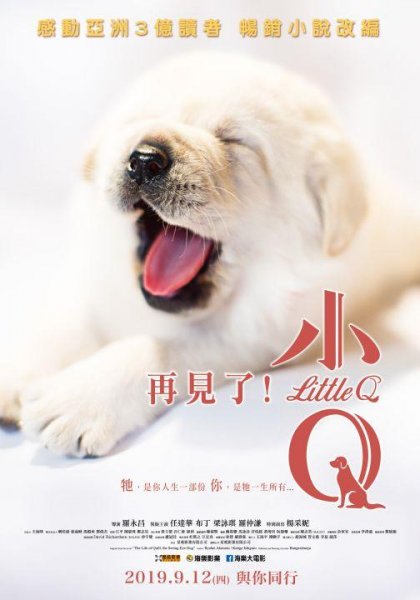 再見了!小Q(Little Q)