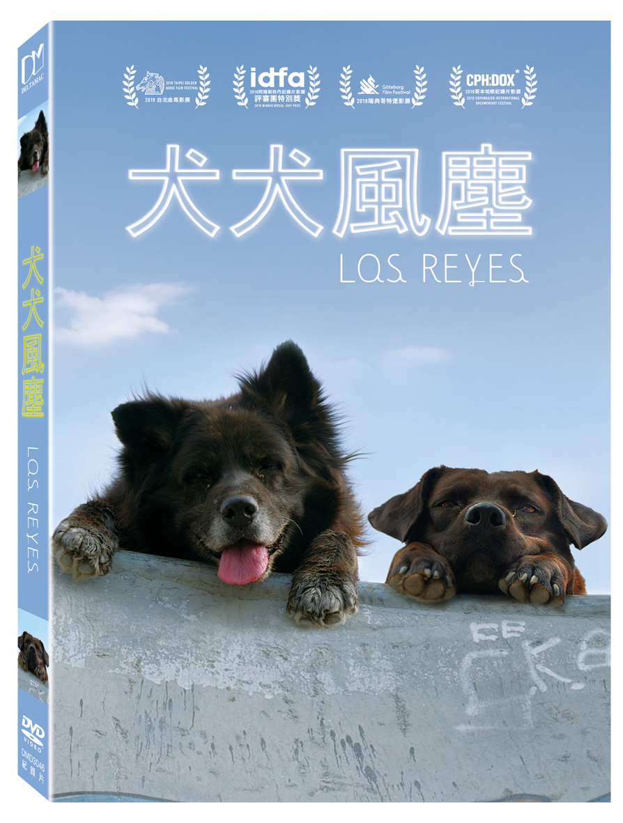 犬犬風塵*中興分館播映