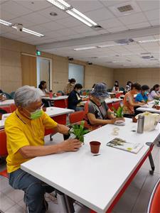 大家開始「包飯糰」進行苔球植物創作_2