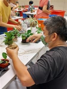 老師展示苔球麻線如何纏繞