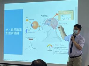 黃醫師介紹光、蛻黑激素和晝夜週期