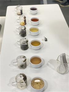 白茶，黃茶，綠茶，烏龍茶，紅茶，黑茶等6種茶