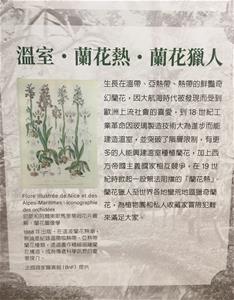 The exhibition “Orchid catalog” echo the 19th-century orchid illustrations from the Gallica database of the BnF.