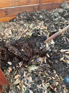 0718-等高線截水溝