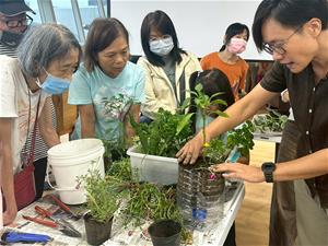1140727-居家毛細植床