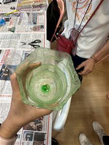 1140727-居家毛細植床