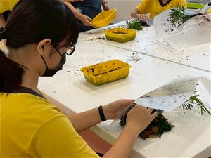 0927水苔球工作坊