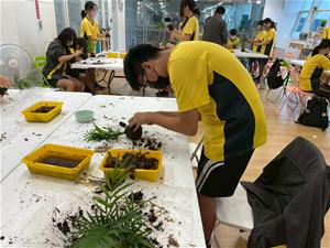 0927水苔球工作坊