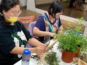 1026氣味香境：擴香植物畫