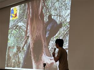 黑熊會挖開樹幹吃藏在裡面的蜂蜜