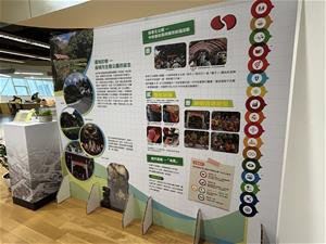 用豆豆貼表達自己對茄苳樹王文化生態公園的認識