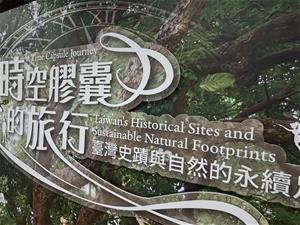 把願望樹葉貼在茄苳樹上，讓大樹更加茂盛。