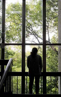 精武圖書館大量採用窗戶引入公園景觀。