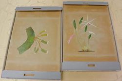 川澄理三郎的寫生畫作《蘭譜》。