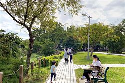 大安森林公園綠意盎然，被譽為臺北市的「都市之肺」。