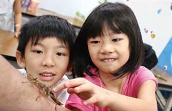 新北市立圖書館三峽分館增進孩子對竹節蟲的認識與熟悉，自然不會有恐懼感。