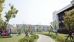 龍岡分館北面台貿公園，四周都是住宅區，居民和圖書館就像鄰居一般，時而在公園散步、遛狗，時而能到圖書館外的榕樹下乘涼、談天