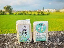 大安水蓑衣文創農特產品，「永安小農家」的日曬香米