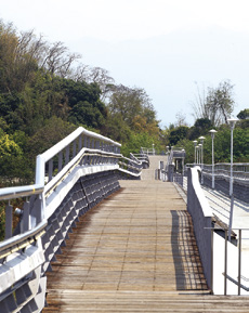 旗山地景橋橫跨楠梓仙溪，適合漫步或騎單車欣賞秀麗的山巒景色。