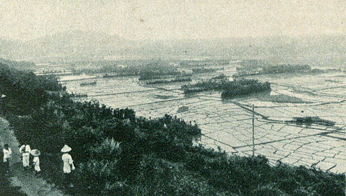 米種改良讓臺灣農村開始有了不同風貌。圖為大溪郡的水田（今桃園市大溪區）。
