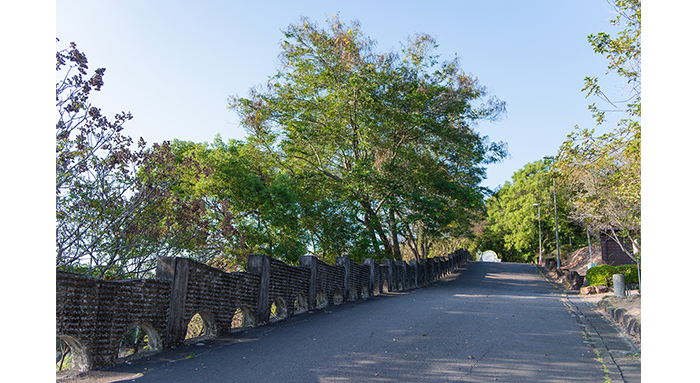 虎山坡道