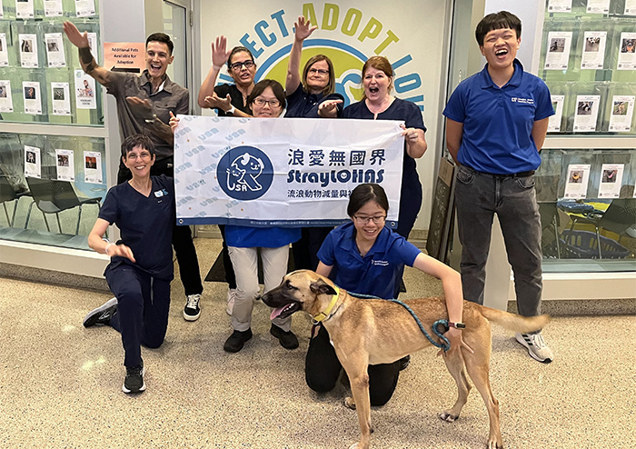 浪愛無國界團隊前往美國加州大學戴維斯分校、佛羅里達大學學習收容動物醫學 ，未來將所學知識納入獸醫課程。