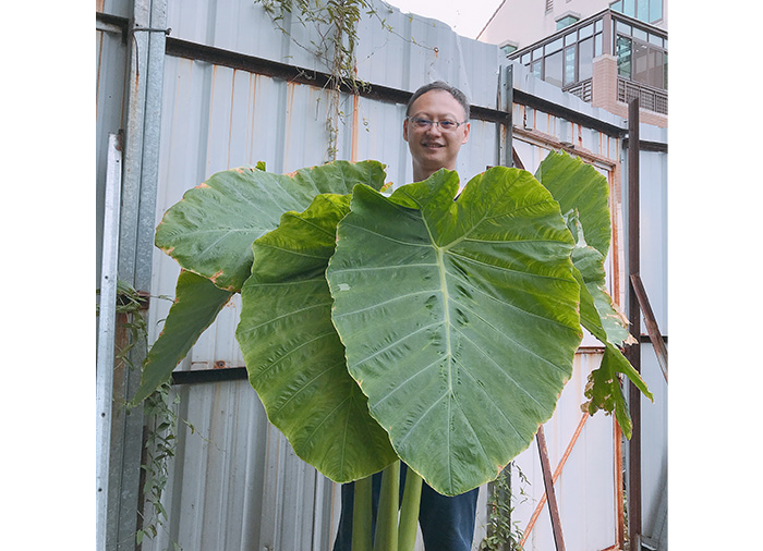 胖胖樹不只家中露台、屋頂種滿奇花異草，甚至租了一塊地呵護上千株珍稀植物。