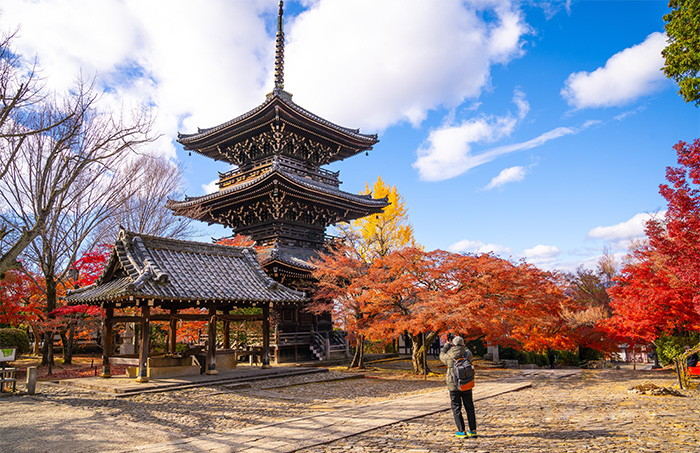 《京都：四季遊》