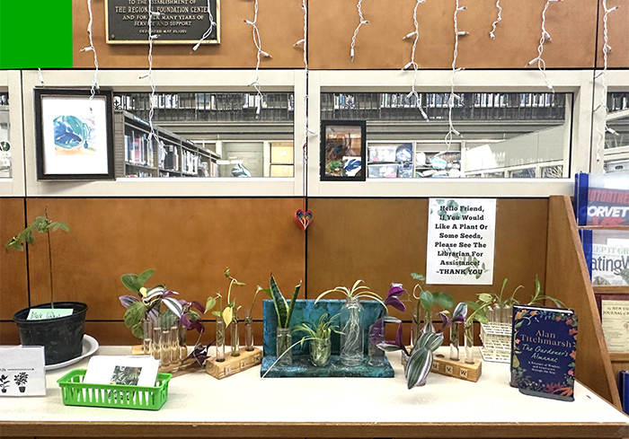 種子圖書館的育苗練習區。