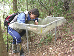 發現、研究讓生活更有樂趣