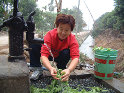 流經社區的白河水庫洩洪道也方便居民洗菜