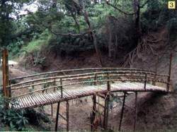 連接步道的竹橋也串起居民們的心
