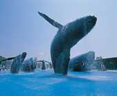 等比例的鯨魚模型、寬闊的親水廣場，悠游其中，彷彿置身在大海中與鯨魚嬉戲一般。