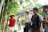 在導覽人員的詳細解說下，逛完青竹竹藝文化園區至少需一個半小時。