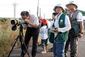 賞鳥活動，讓人類藉著觀賞、瞭解，進而生起保護濕地的心。