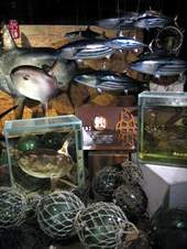 製作柴魚的魚種與罕見人工吹製玻璃球