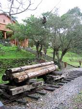 圖為「索道」，是昔日經營林業的運輸尖兵。