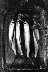 「飛魚」緊繫著逹悟民族傳統文化的延續。