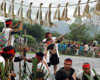 布農族射耳祭祭典。