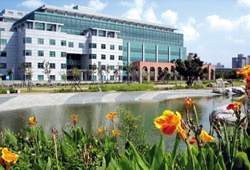 中央圖書館台灣分館。