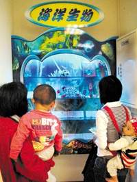 旗山分館--海洋生物。