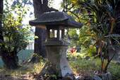 洗石子燈籠點綴庭園,意境悠遠。