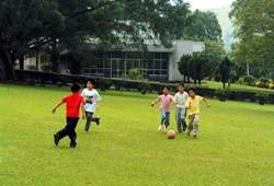 宛如森林遊樂場的校園，是孩子們的天堂。