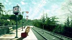 自去年新增加動畫短片奬項,今年入選都是新生代導演作品,令人驚喜。