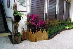 台南社大協力市圖辦理綠色書展，並邀請盆景講師布置市圖空間。