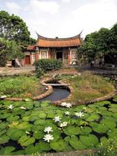 楊氏宗祠前太極兩儀池荷花綻放的景致。(史乾佑攝)