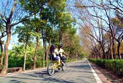 單車旅行也可以與圖書館相結合。