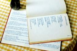 吳晟珍藏手抄禁書-現代詩。