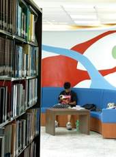 學生喜歡在圖書館享受閱讀的寧靜。